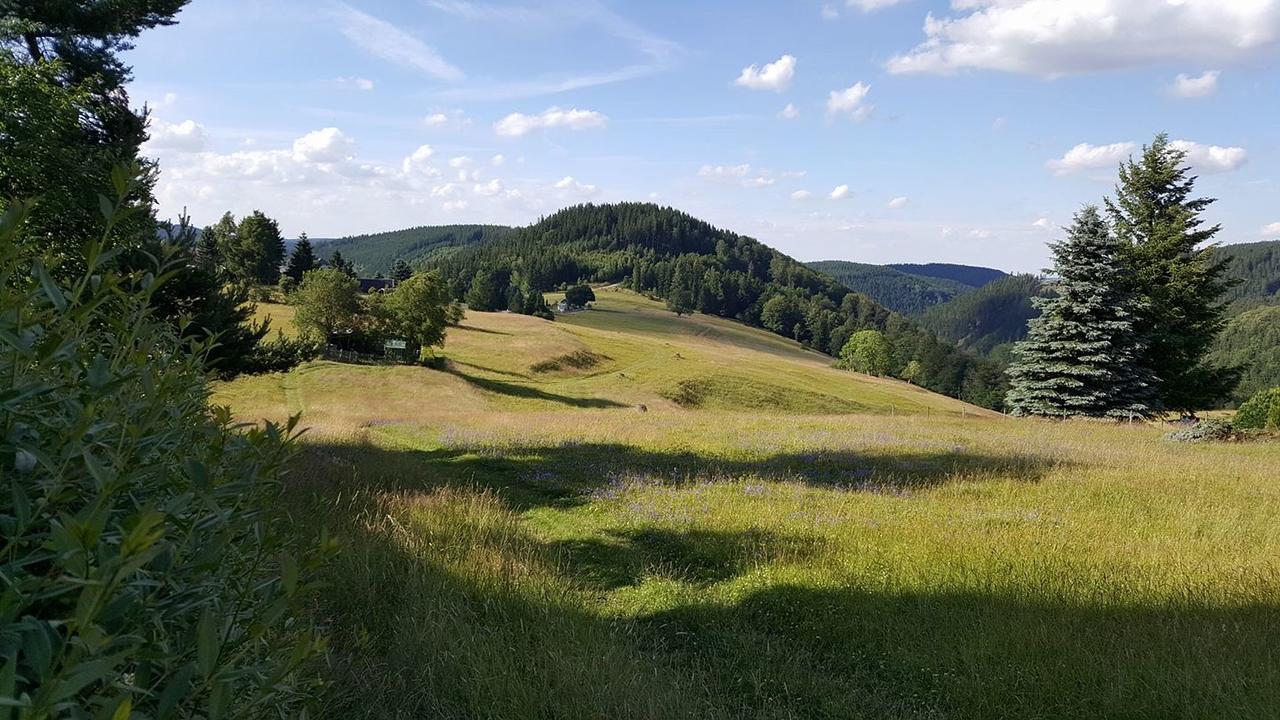 Apartment Und Bistro Zum Glasmacher